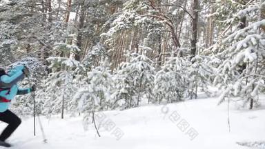 带背包和<strong>登山杖</strong>的旅行者。 森林里的女人在白雪覆盖的树木的背景上。